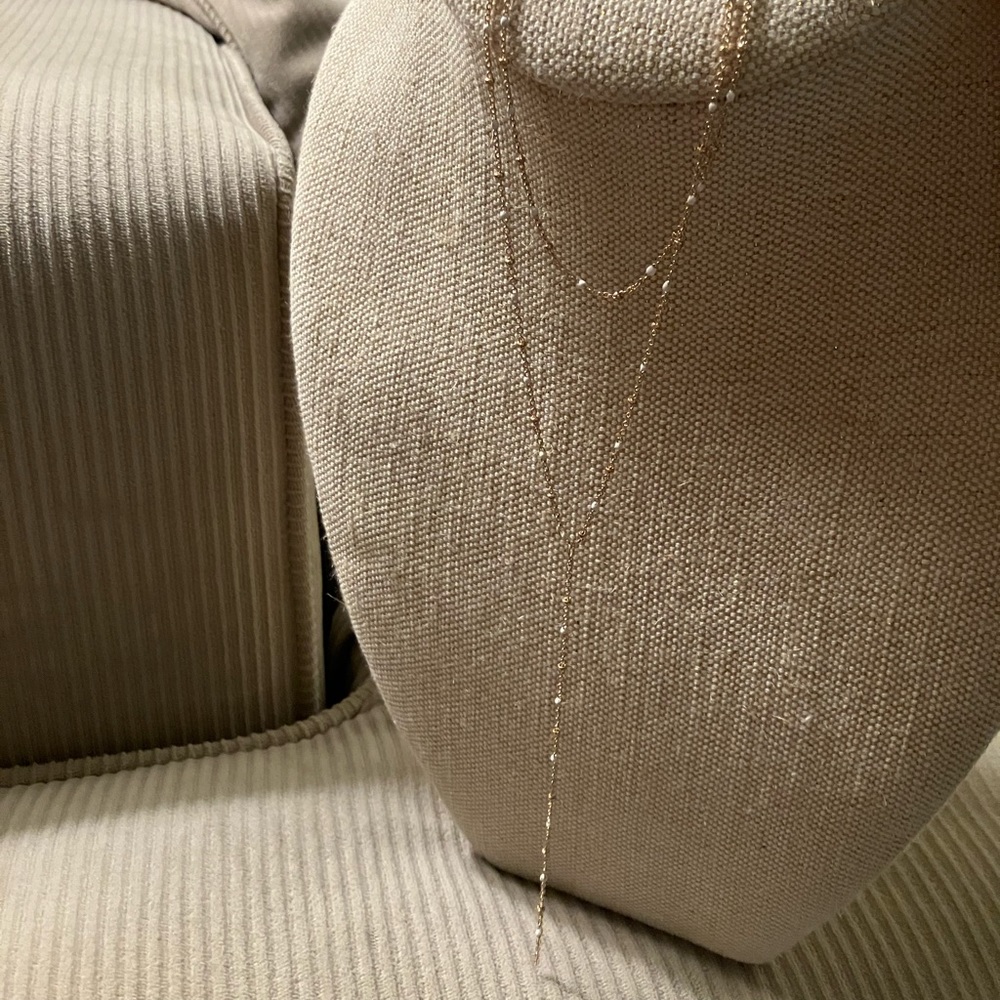 Delicate double layer necklace from Altar’d State